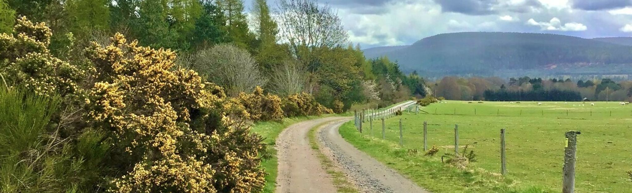 aboyne-court-hill-and-river-dee-circular-20-photos-aberdeenshire