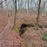 Sand Cave Trail, Kentucky - 256 Reviews, Map | AllTrails