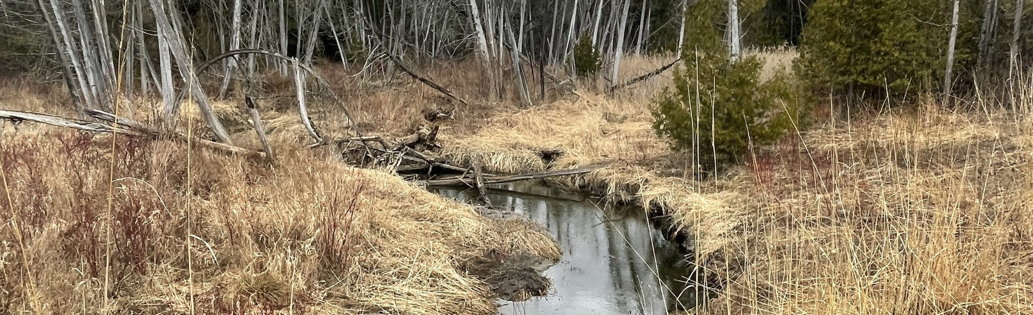 Greenwood Conservation Area Extended North Loop 42 Reviews, Map