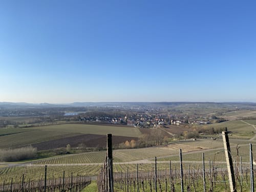 Obersulmer Rundwanderweg 4