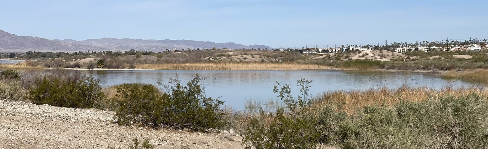 Havasu Riviera State Park Loop | Map, Guide - Arizona | AllTrails