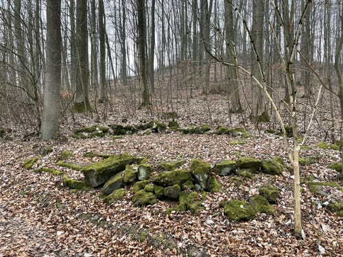 Um den Klauskopf (Naturparkweg 2)