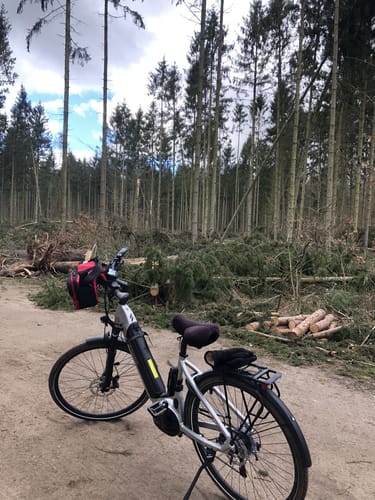 Radtour Tollensesee