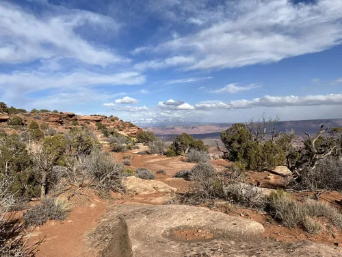 10 Best Hikes and Trails in Canyonlands National Park AllTrails