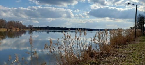 Rundwanderweg Inselteich