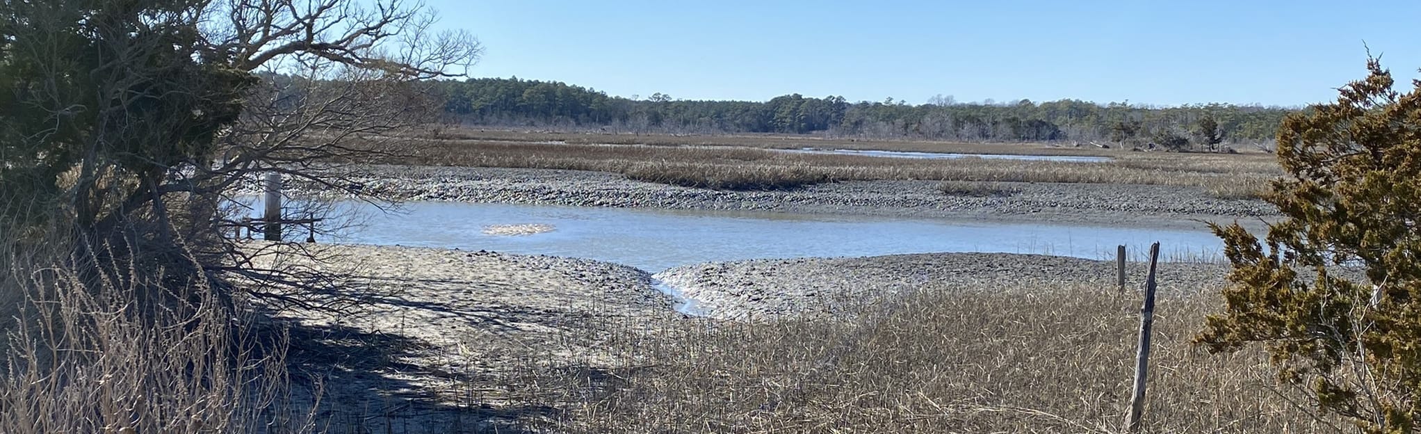 William B. Cummings Birding and Wildlife Trail, Virginia 53 Reviews