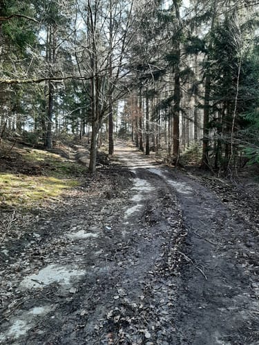 Eifelverein Langerwehe: Wanderweg 71
