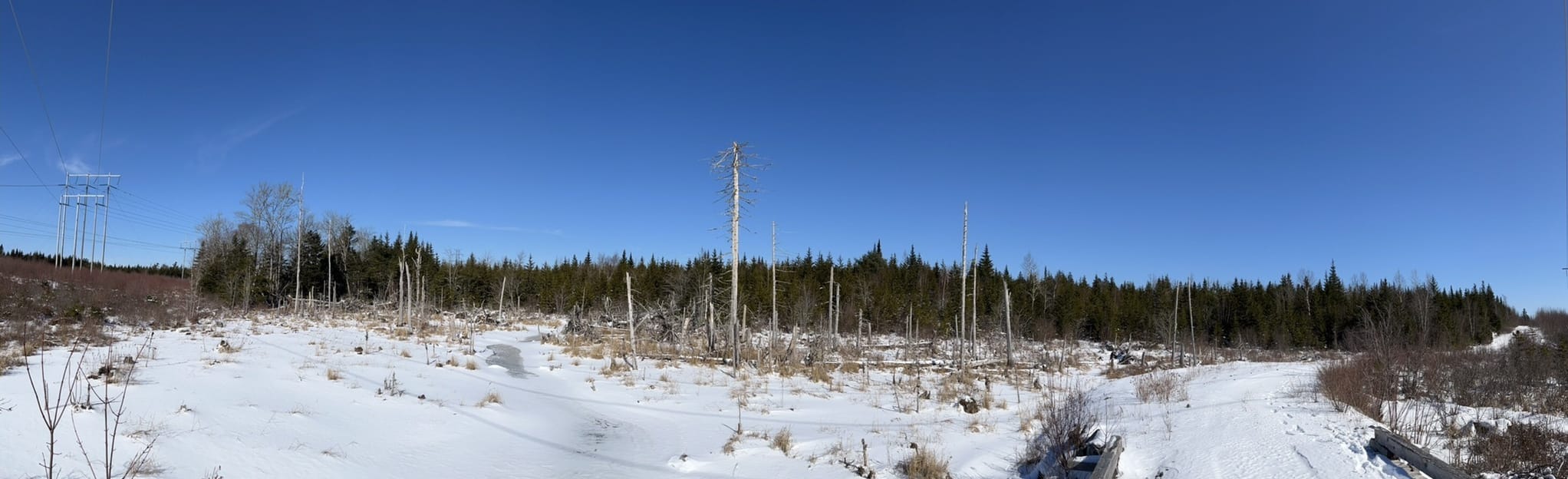 Tomahawk Lake Loop 16 Reviews, Map Nova Scotia, Canada AllTrails