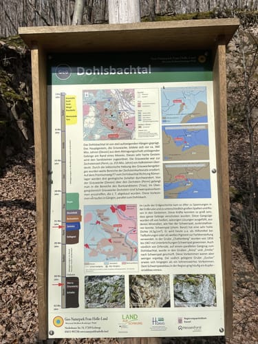 Söder Wald P7 (Premiumwanderweg)