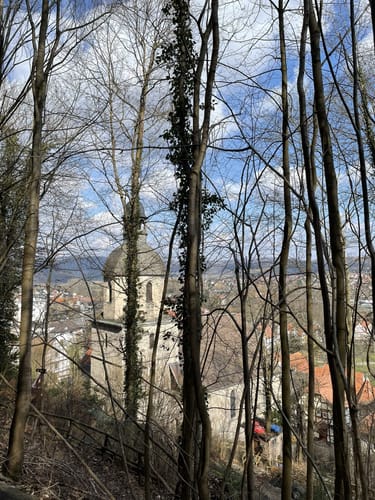 Söder Wald P7 (Premiumwanderweg)