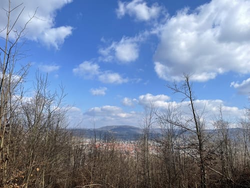 Söder Wald P7 (Premiumwanderweg)