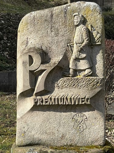 Söder Wald P7 (Premiumwanderweg)