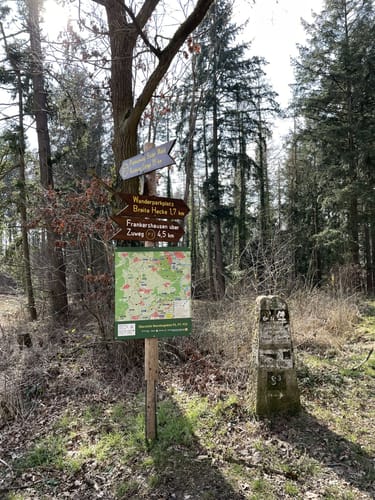 Söder Wald P7 (Premiumwanderweg)