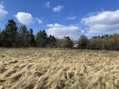 Söder Wald P7 (Premiumwanderweg)