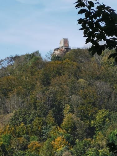 Silz - Naturparkrundweg 26