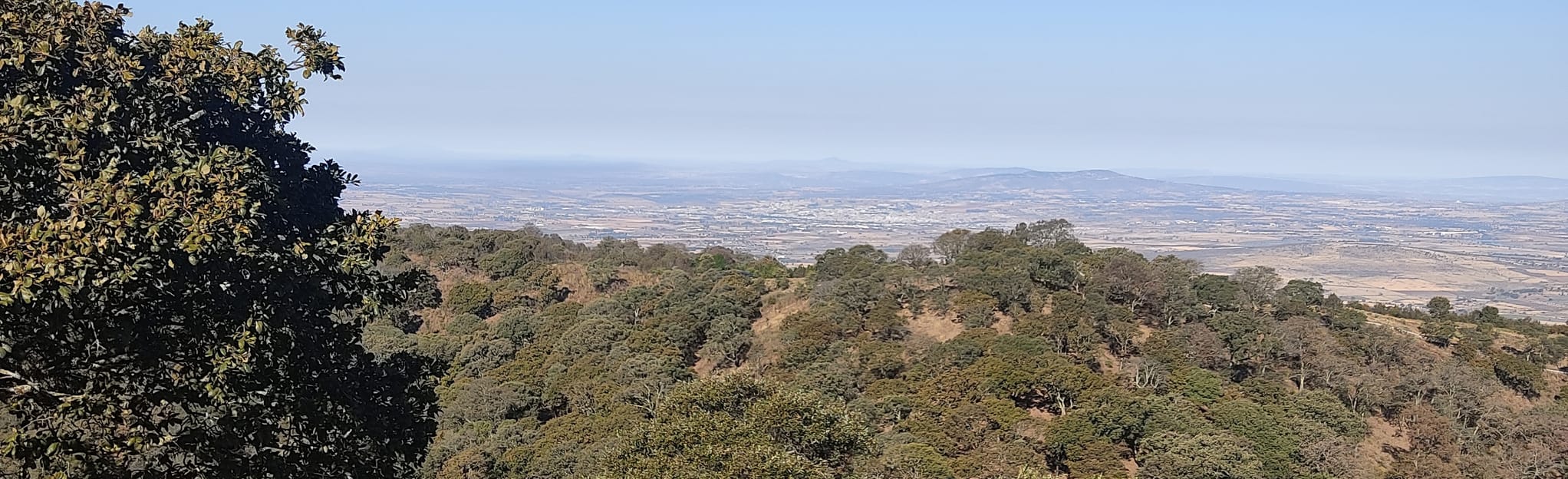 Circuito Cerro Gordo 1 Reviews, Map Jalisco, Mexico AllTrails