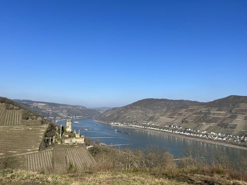 Weinwanderweg Bacharach