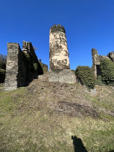 Weinwanderweg Bacharach