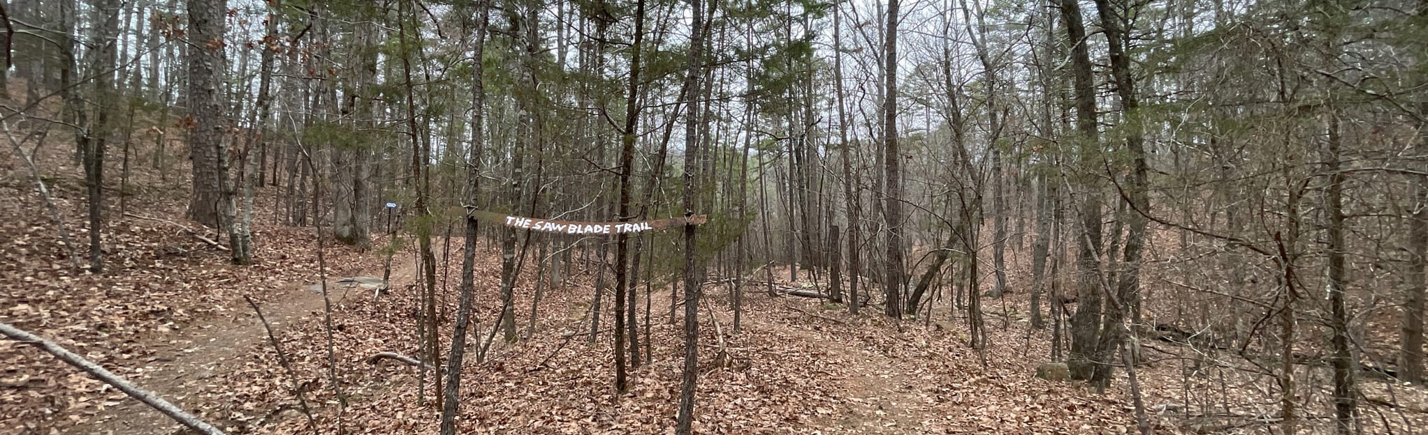Saw Blade Loop Trail, Arkansas 49 Reviews, Map AllTrails