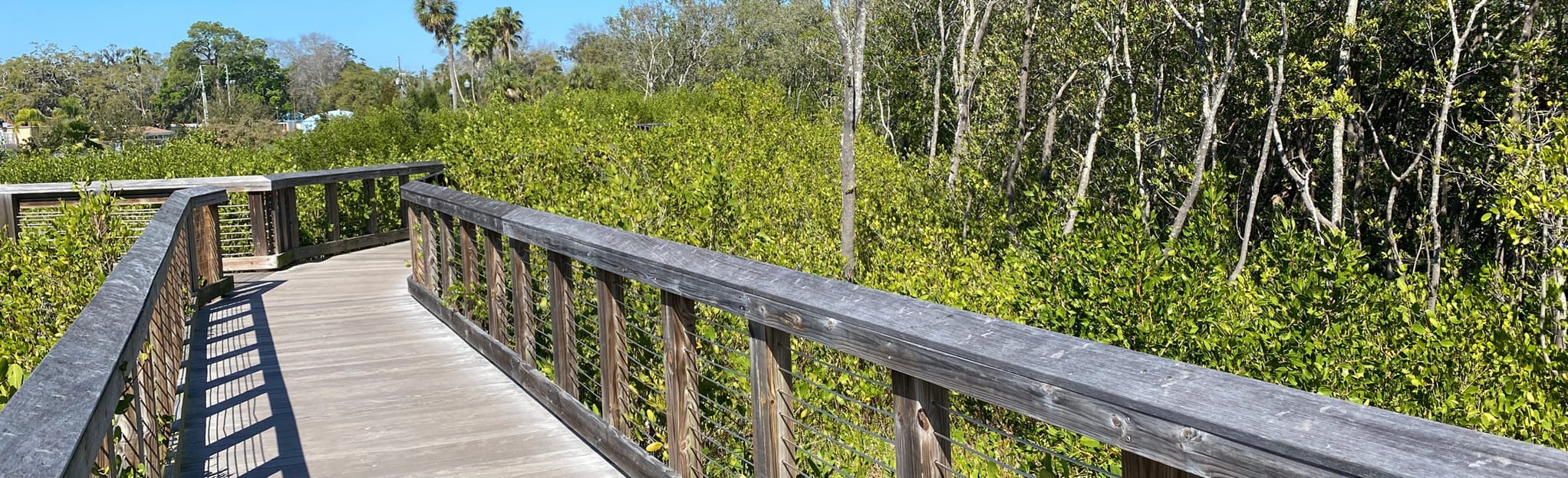 Safety Harbor Nature Boardwalk 174 Reviews, Map Florida AllTrails