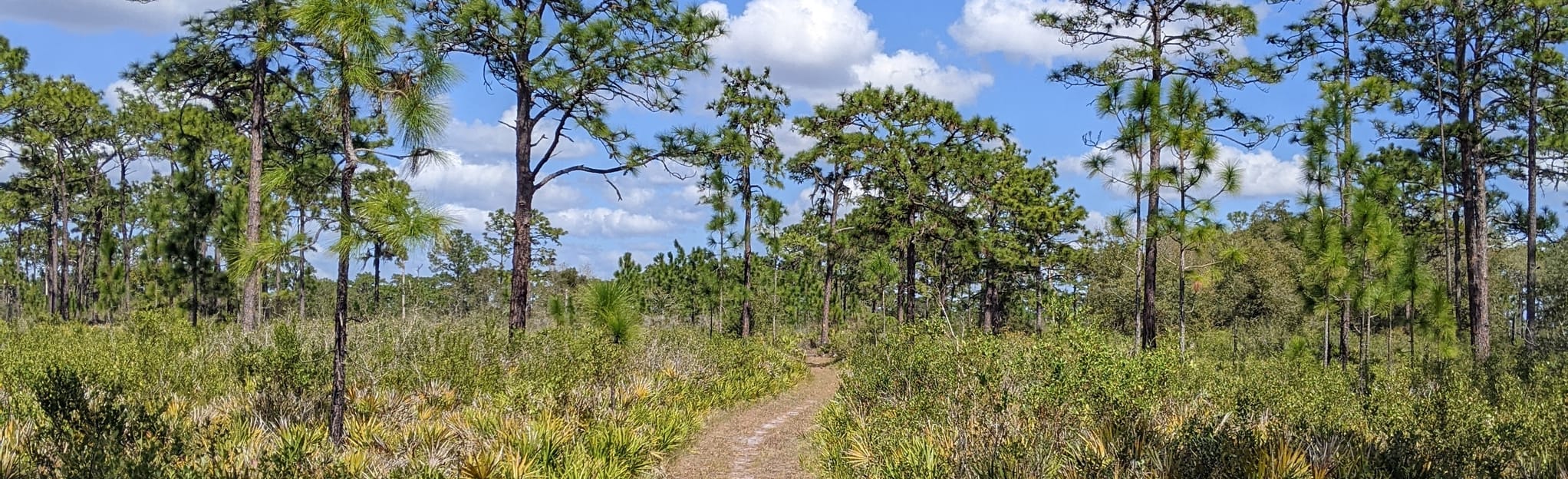 Lake Kissimmee North Loop, Florida 167 Reviews, Map AllTrails