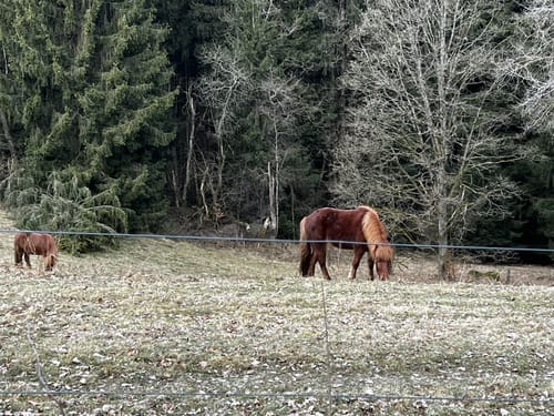 Brennberg und Hollbach