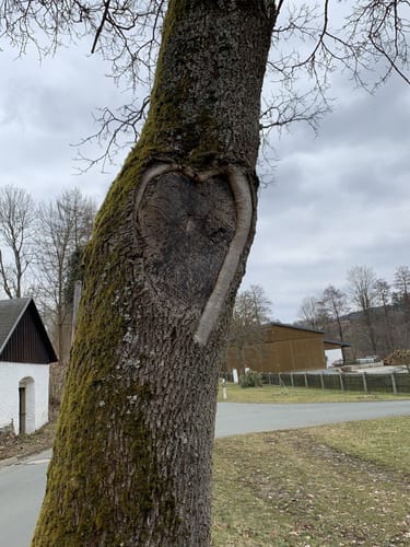 Marxgrüner Panoramaweg US 46