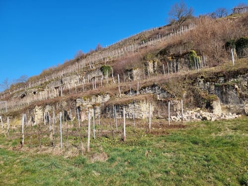 Wehr (Mosel) Rundweg