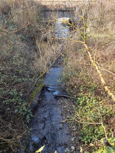 Wehr (Mosel) Rundweg