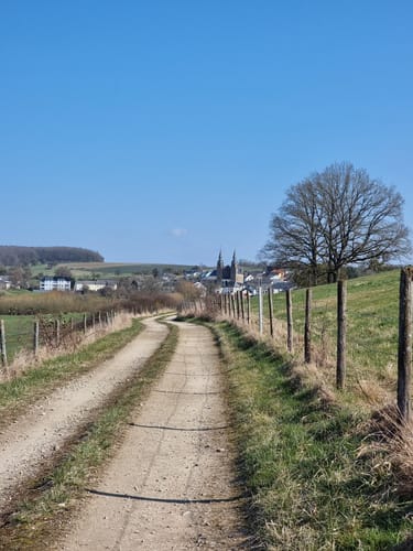 Wehr (Mosel) Rundweg