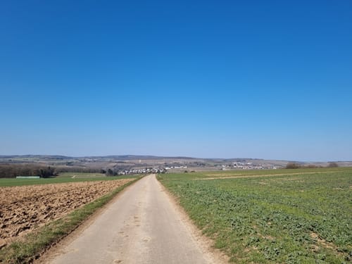 Wehr (Mosel) Rundweg