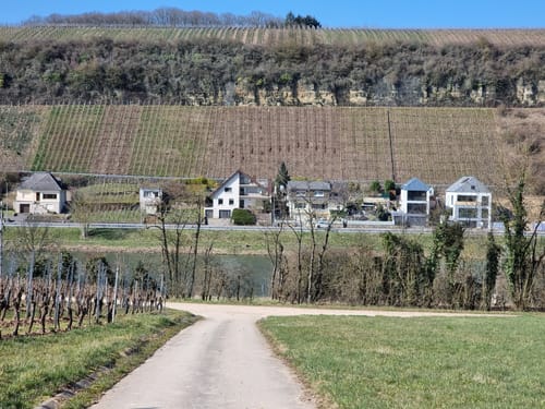 Wehr (Mosel) Rundweg