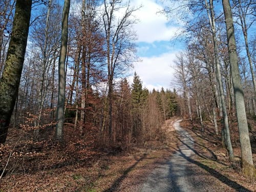 Hildrizhausen Rundweg
