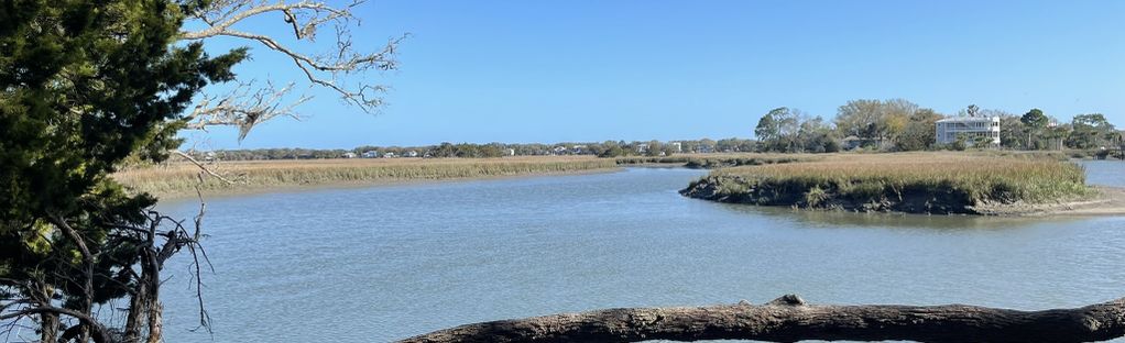 are dogs allowed at edisto state park