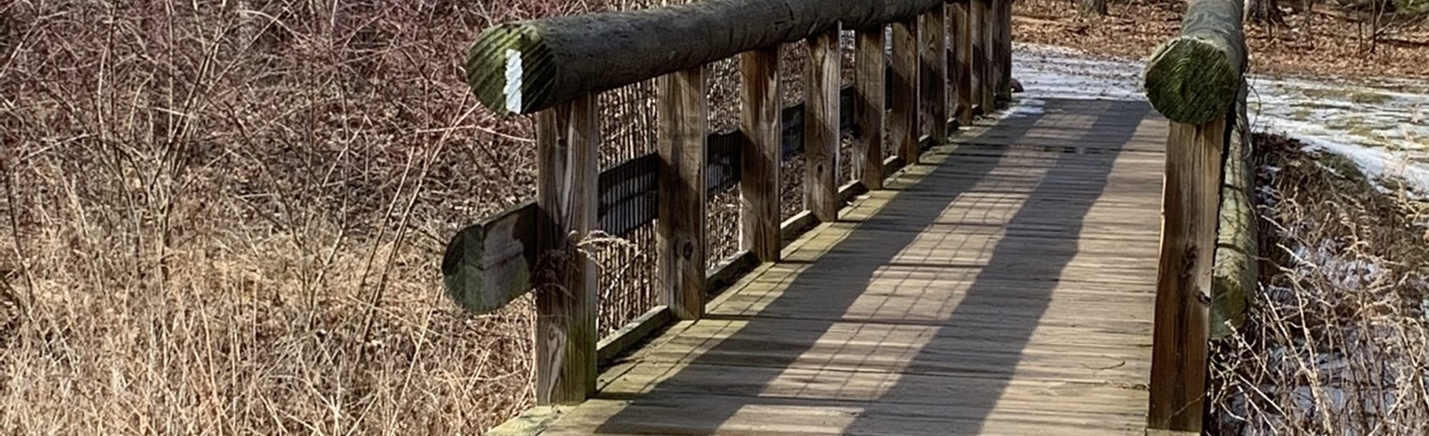 Brooksvale Green Trail Loop 127 Reviews, Map Connecticut AllTrails