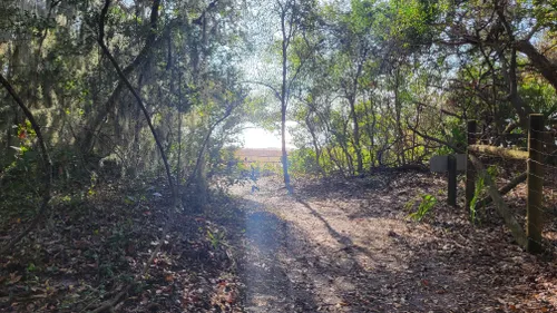 Willow Pond Trails, Fort Clinch State Park