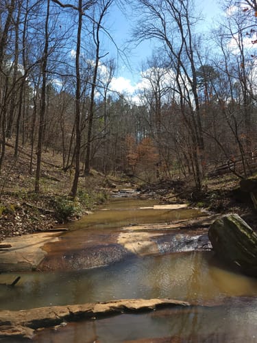 Hamilton Branch State Park Map Best 10 Trails In Hamilton Branch State Park | Alltrails