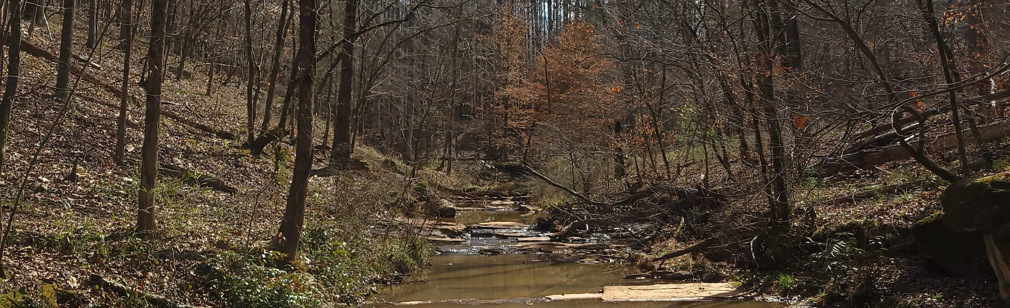 Modoc Steven's Creek Trail, South Carolina 152 Reviews, Map AllTrails