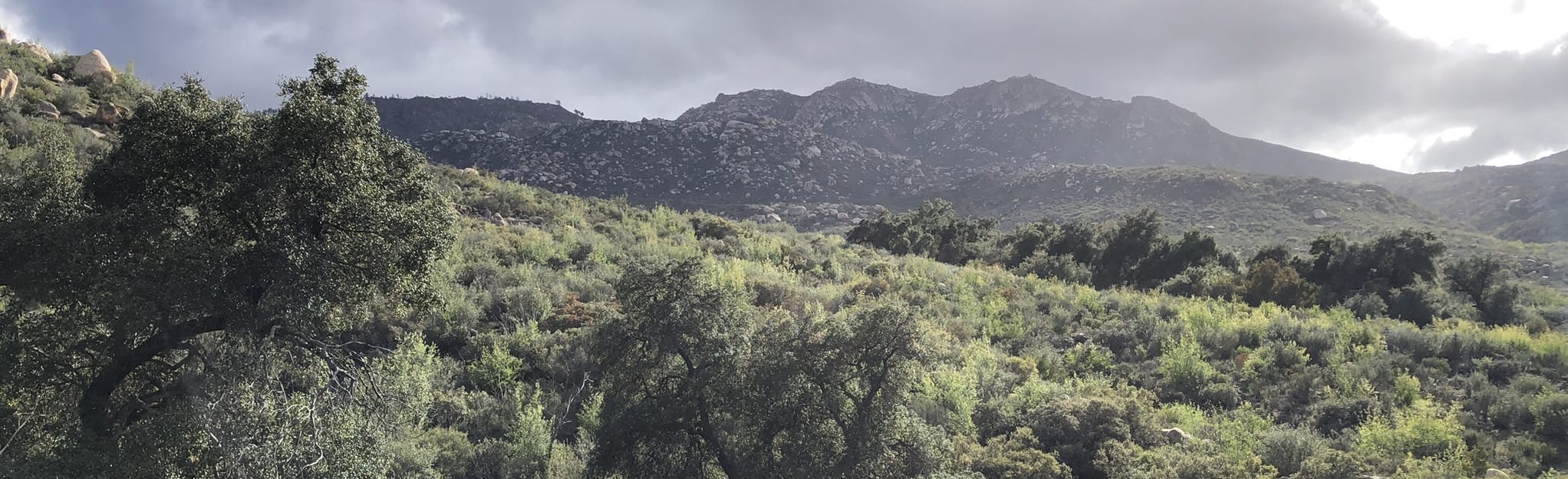 Sierra Blanca 14 Reviews, Map Baja California, Mexico AllTrails