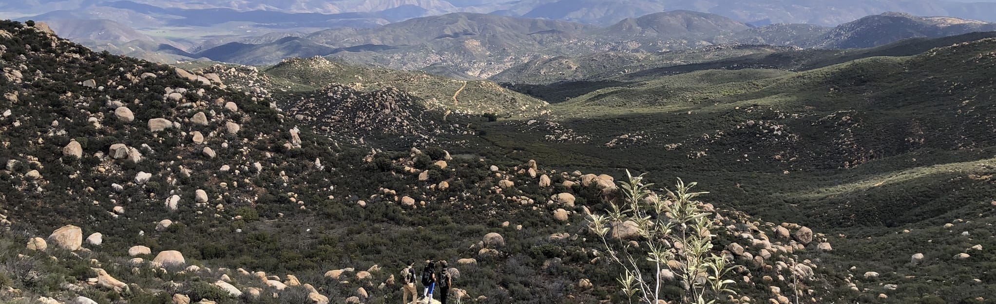 Sierra Blanca, Baja California, Mexico 23 Reviews, Map AllTrails