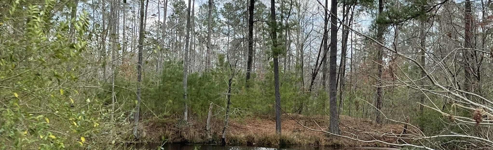 Lillington Recreation Park Walk, North Carolina 8 Reviews, Map