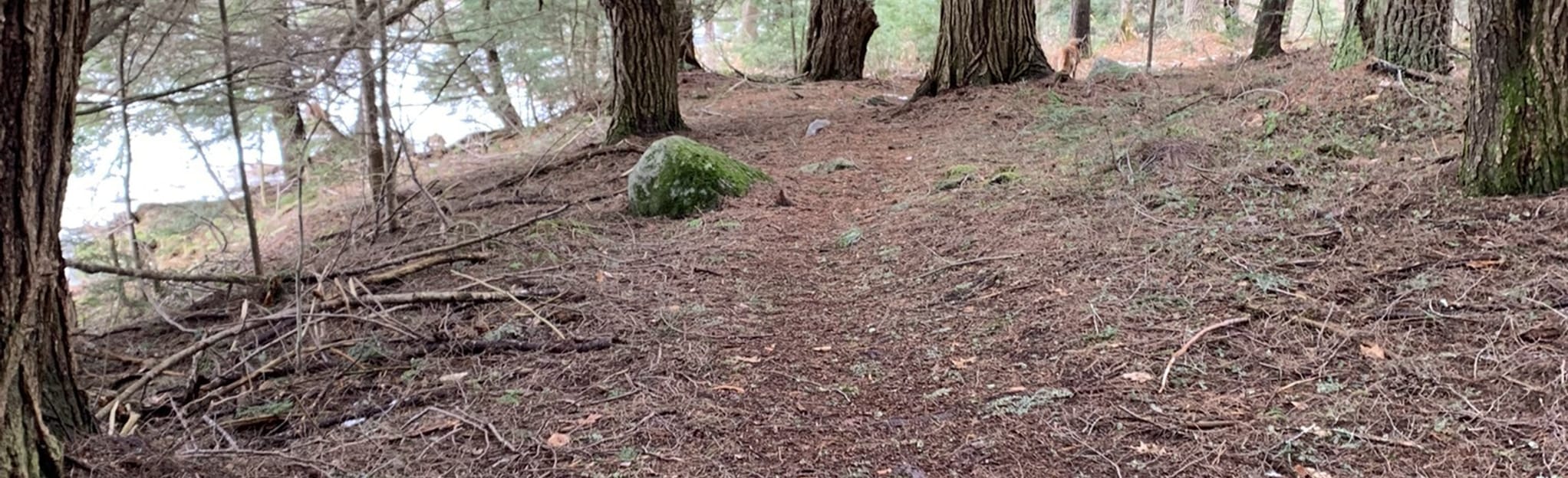 York Lake Loop Trail 39 Reviews, Map Massachusetts AllTrails