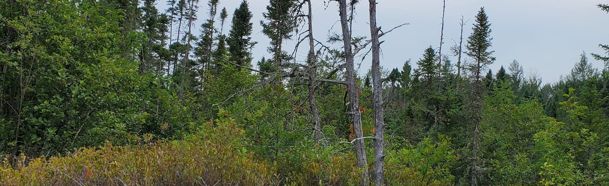 Big Lake Preserve 3 Reviews, Map Michigan AllTrails