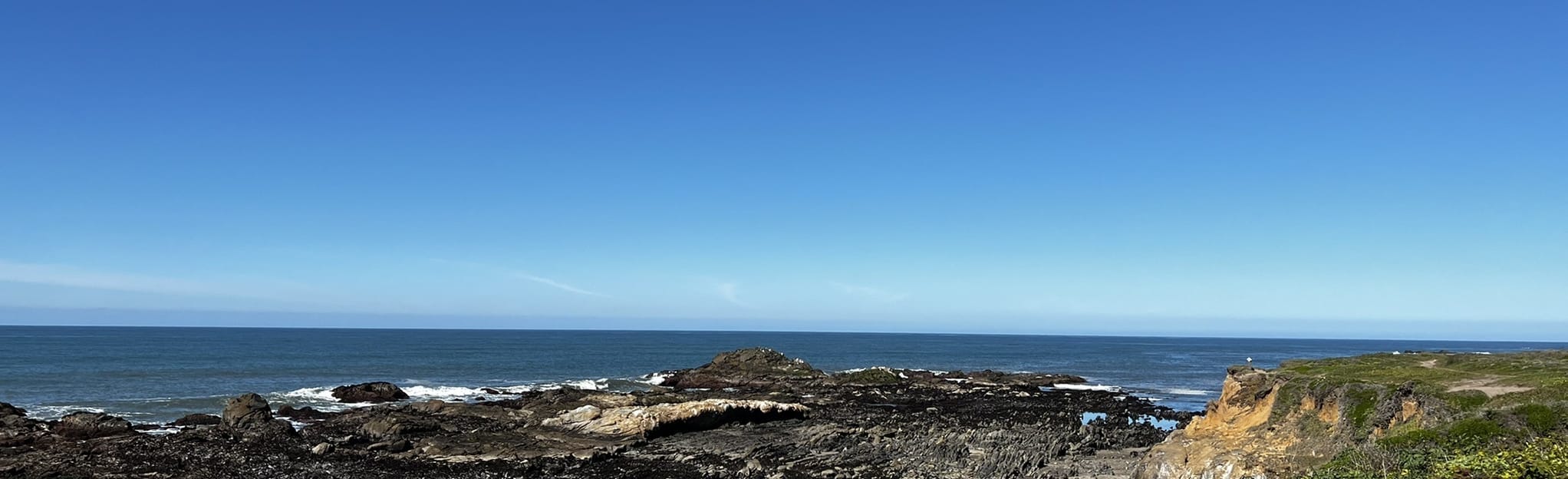 Bean Hollow Beach Trail 150 Reviews, Map California AllTrails