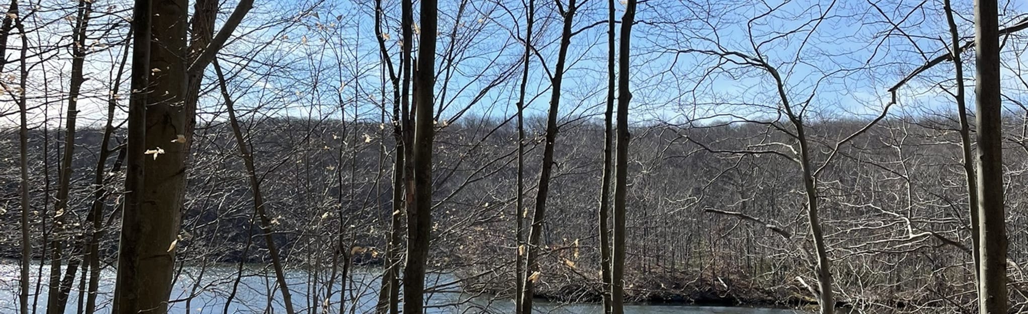 Green Turtle Pond, New Jersey 59 Reviews, Map AllTrails