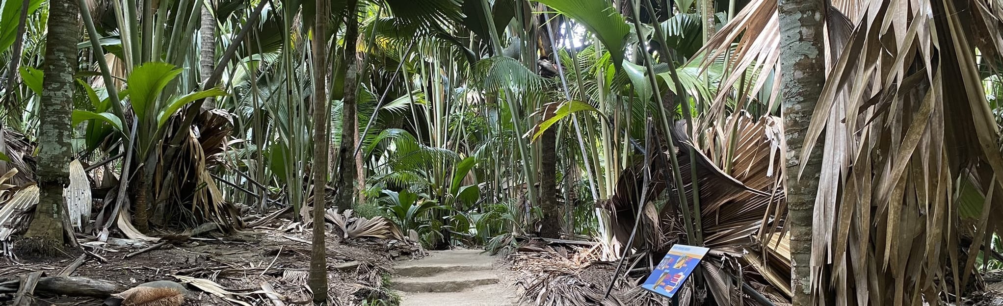 Vallee de Mai 29 fotos Baie Ste. Anne, Seychelles AllTrails