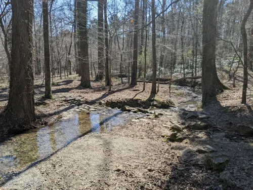 Best Hikes and Trails in Berry College Nature Preserve | AllTrails