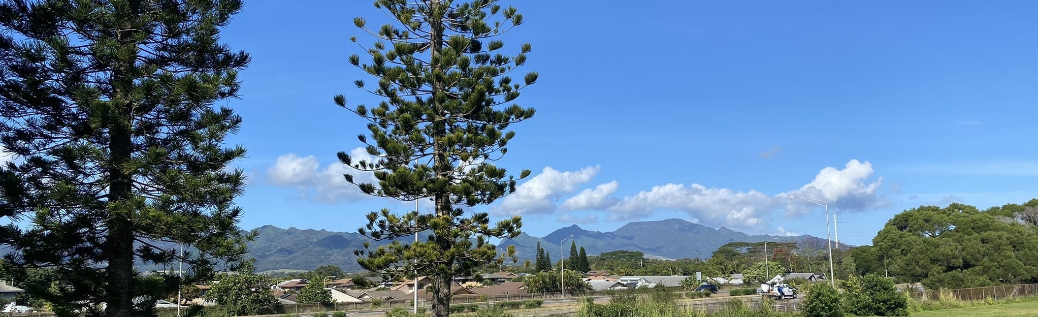 Mililani Dog Park Loop 8 Reviews, Map Oahu, Hawaii AllTrails