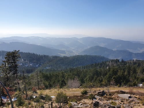Hornisgrinde Rundweg über Ochsenstall