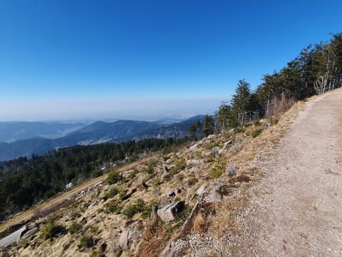 Hornisgrinde Rundweg über Ochsenstall